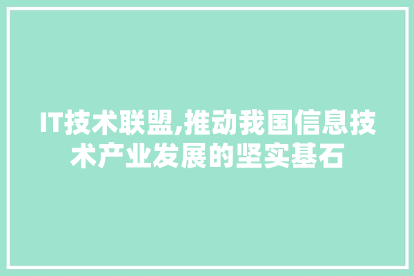 IT技术联盟,推动我国信息技术产业发展的坚实基石 科技快讯