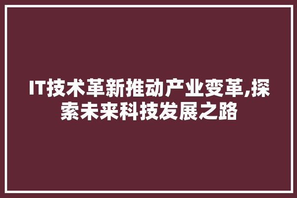 IT技术革新推动产业变革,探索未来科技发展之路 文字写作
