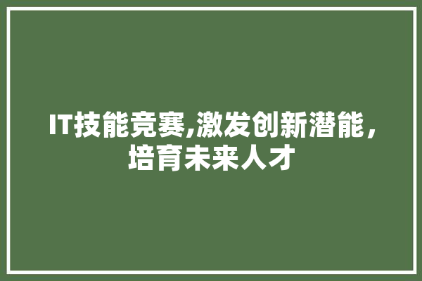 IT技能竞赛,激发创新潜能，培育未来人才