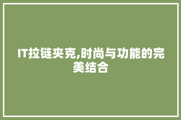 IT拉链夹克,时尚与功能的完美结合 智能助手