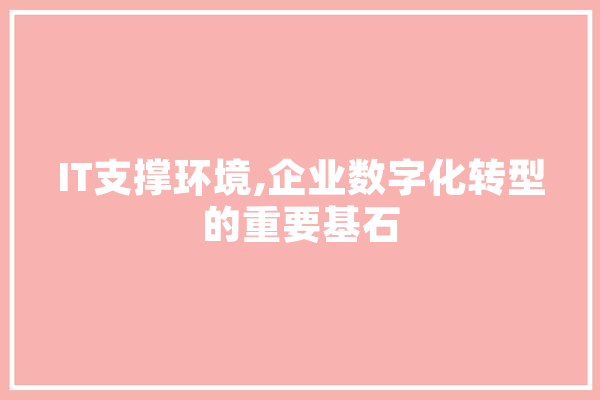 IT支撑环境,企业数字化转型的重要基石