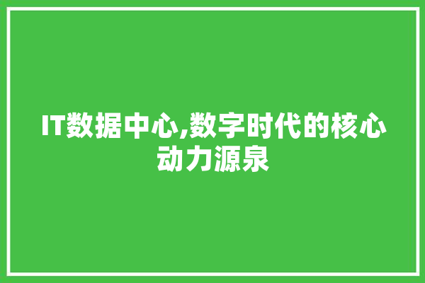 IT数据中心,数字时代的核心动力源泉