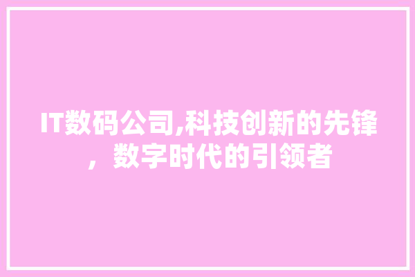 IT数码公司,科技创新的先锋，数字时代的引领者