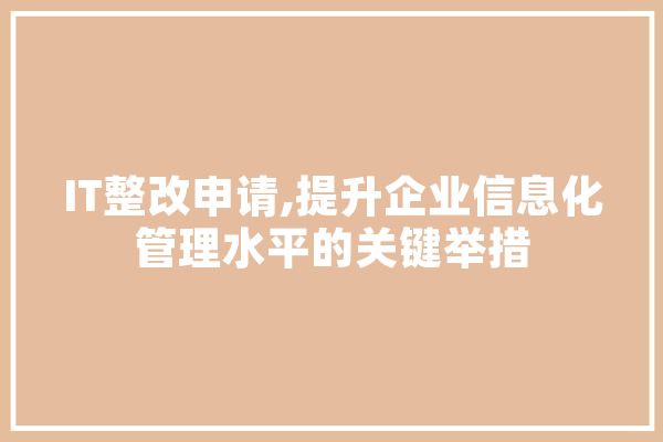 IT整改申请,提升企业信息化管理水平的关键举措 文字写作