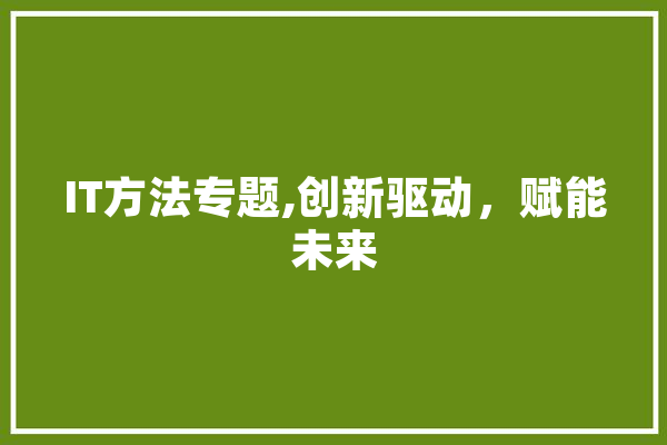IT方法专题,创新驱动，赋能未来