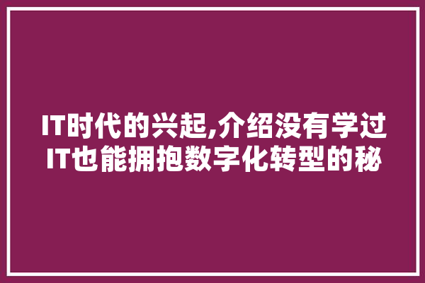 IT时代的兴起,介绍没有学过IT也能拥抱数字化转型的秘密 云服务