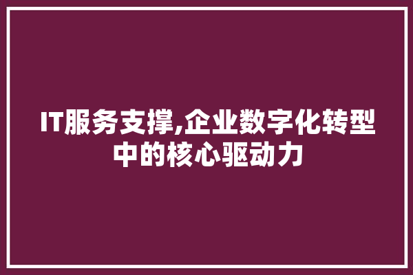 IT服务支撑,企业数字化转型中的核心驱动力 计算机