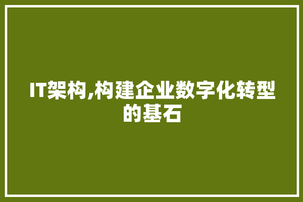 IT架构,构建企业数字化转型的基石