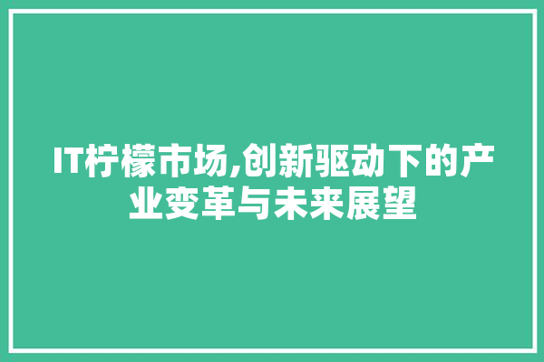 IT柠檬市场,创新驱动下的产业变革与未来展望