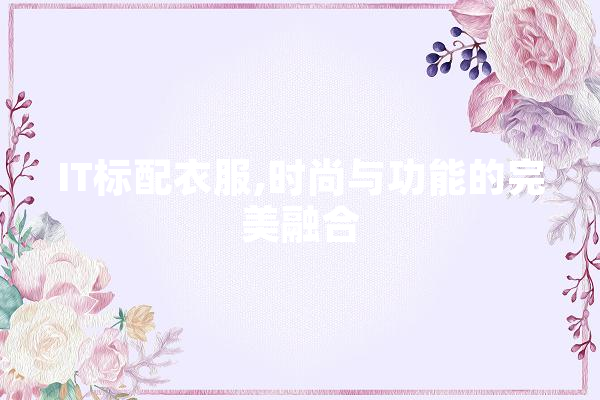 IT标配衣服,时尚与功能的完美融合
