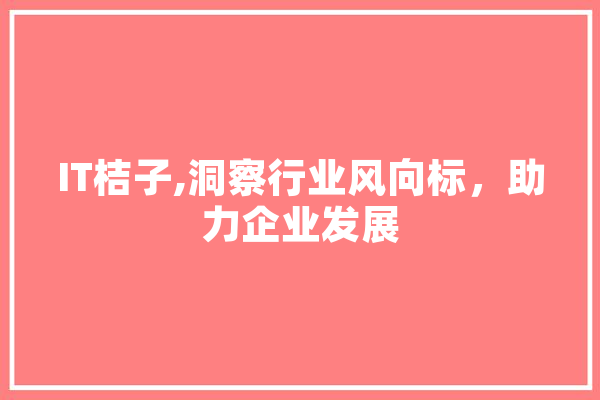 IT桔子,洞察行业风向标，助力企业发展