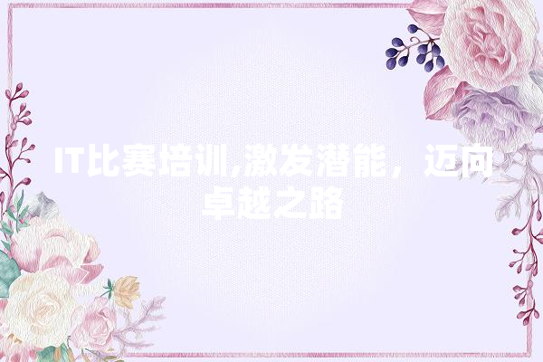 IT比赛培训,激发潜能，迈向卓越之路
