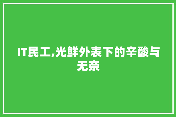 IT民工,光鲜外表下的辛酸与无奈