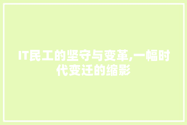 IT民工的坚守与变革,一幅时代变迁的缩影