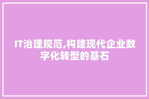 IT治理规范,构建现代企业数字化转型的基石