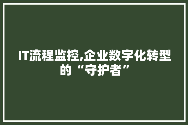 IT流程监控,企业数字化转型的“守护者”