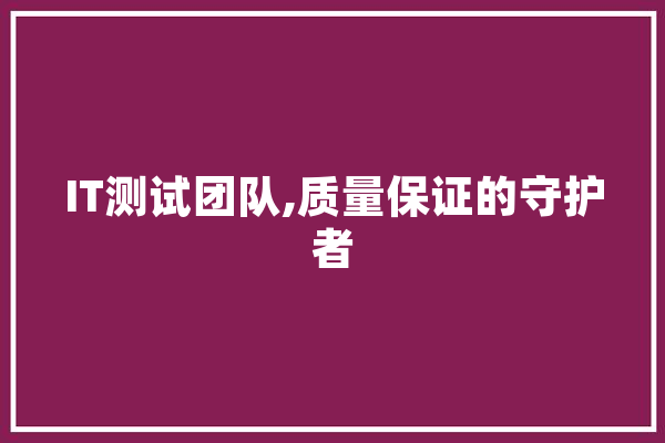 IT测试团队,质量保证的守护者