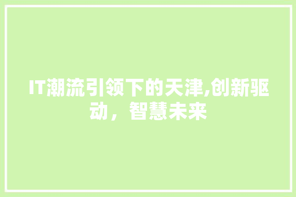 IT潮流引领下的天津,创新驱动，智慧未来