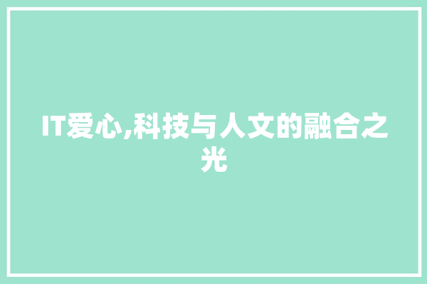 IT爱心,科技与人文的融合之光