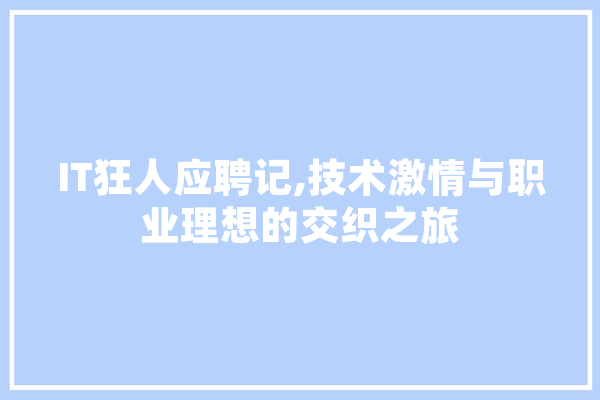 IT狂人应聘记,技术激情与职业理想的交织之旅