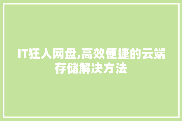 IT狂人网盘,高效便捷的云端存储解决方法