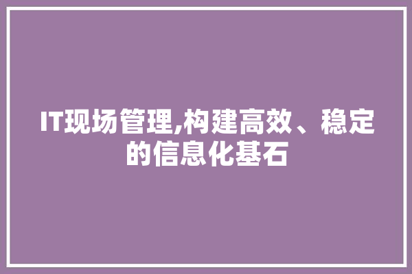 IT现场管理,构建高效、稳定的信息化基石