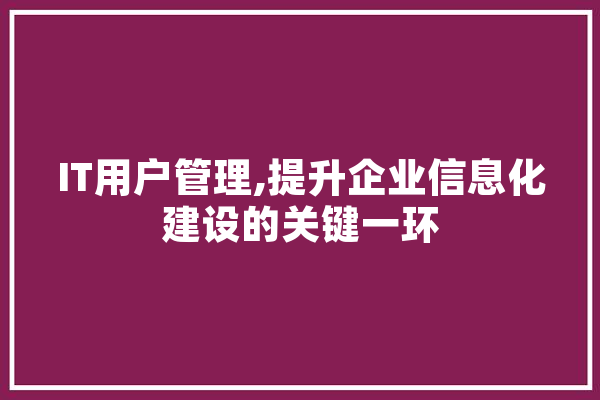 IT用户管理,提升企业信息化建设的关键一环