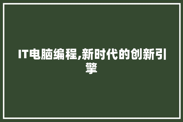 IT电脑编程,新时代的创新引擎