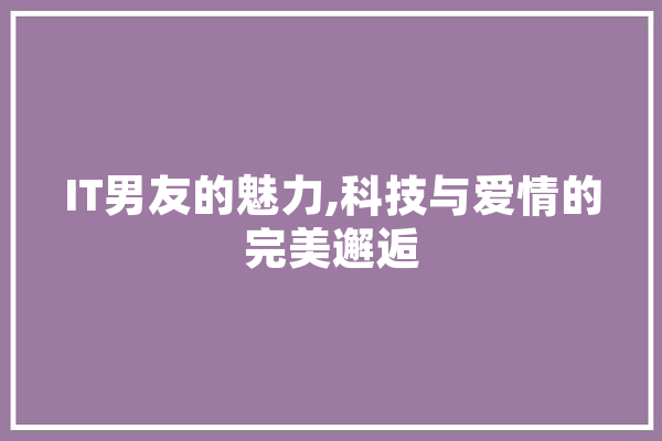 IT男友的魅力,科技与爱情的完美邂逅