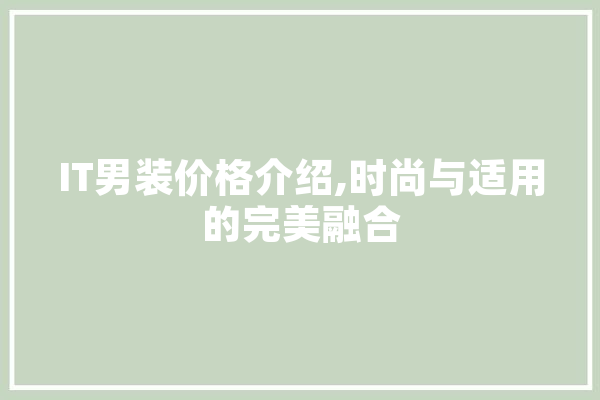 IT男装价格介绍,时尚与适用的完美融合
