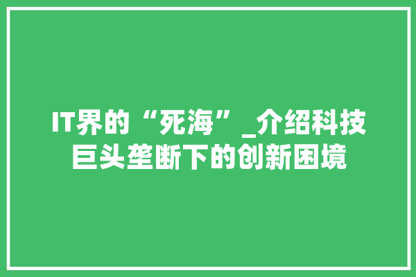 IT界的“死海”_介绍科技巨头垄断下的创新困境