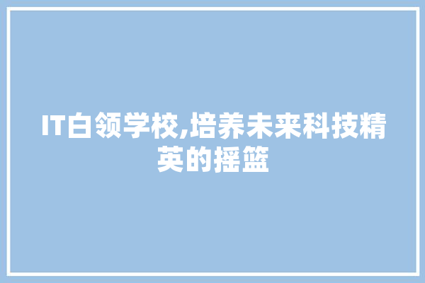 IT白领学校,培养未来科技精英的摇篮 计算机