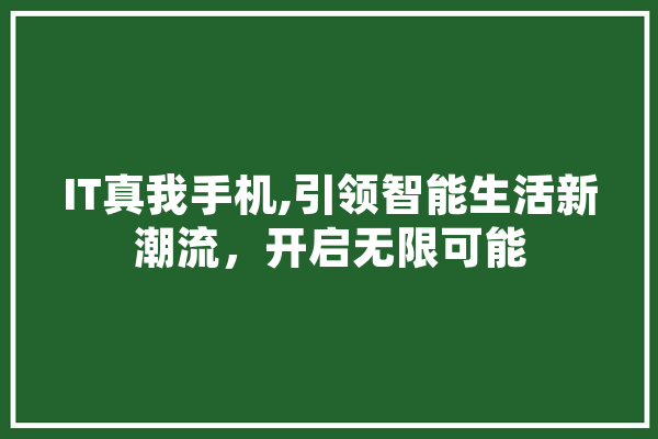 IT真我手机,引领智能生活新潮流，开启无限可能 绘影字幕
