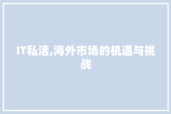 IT私活,海外市场的机遇与挑战