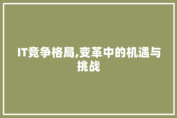 IT竞争格局,变革中的机遇与挑战