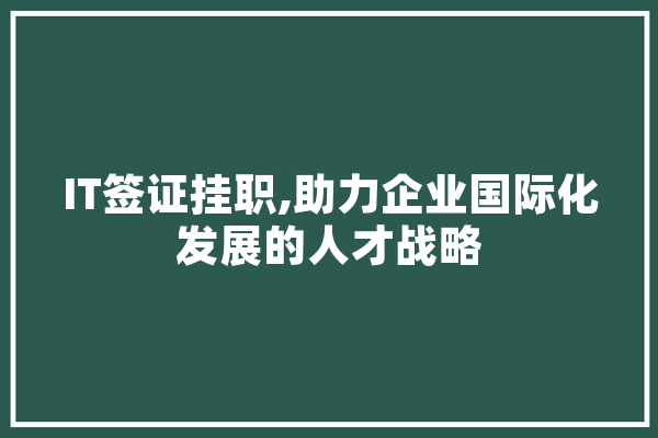 IT签证挂职,助力企业国际化发展的人才战略 智能问答