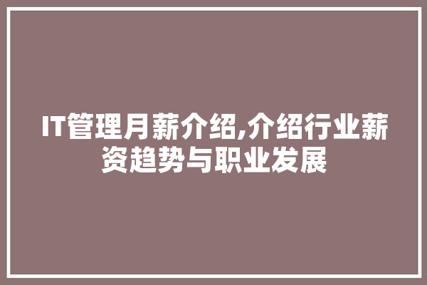 IT管理月薪介绍,介绍行业薪资趋势与职业发展