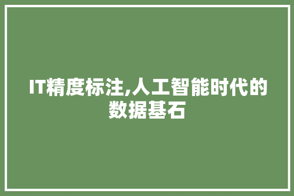 IT精度标注,人工智能时代的数据基石