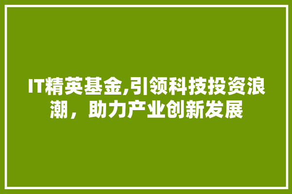 IT精英基金,引领科技投资浪潮，助力产业创新发展 绘影字幕