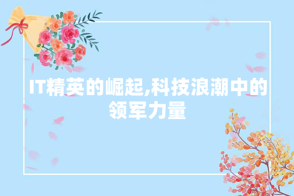 IT精英的崛起,科技浪潮中的领军力量