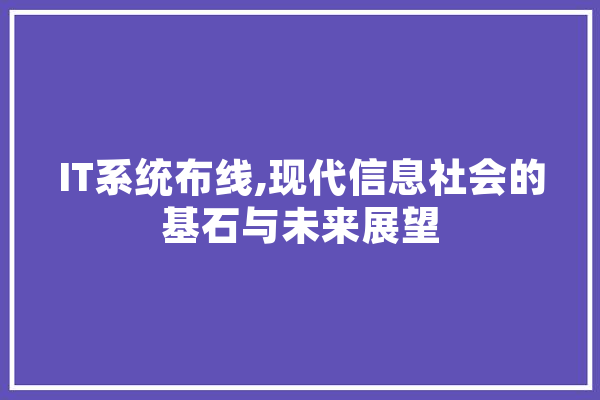 IT系统布线,现代信息社会的基石与未来展望