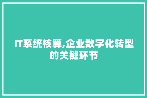 IT系统核算,企业数字化转型的关键环节 云服务