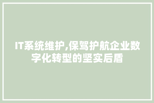 IT系统维护,保驾护航企业数字化转型的坚实后盾