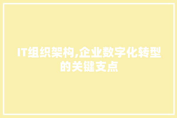 IT组织架构,企业数字化转型的关键支点