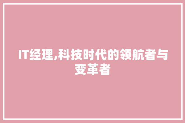 IT经理,科技时代的领航者与变革者