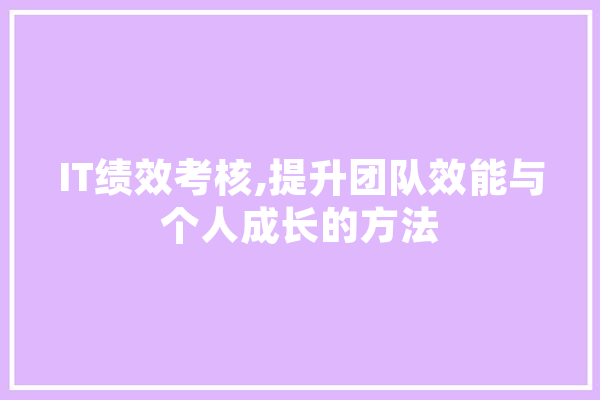IT绩效考核,提升团队效能与个人成长的方法