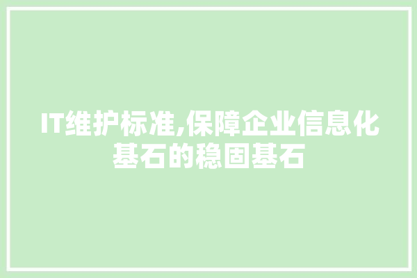 IT维护标准,保障企业信息化基石的稳固基石