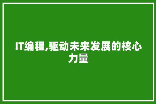 IT编程,驱动未来发展的核心力量 智能问答