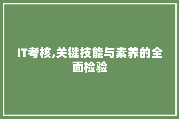 IT考核,关键技能与素养的全面检验