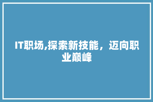 IT职场,探索新技能，迈向职业巅峰